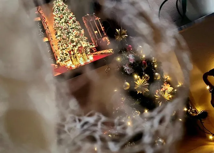 My Guest Base Tirana