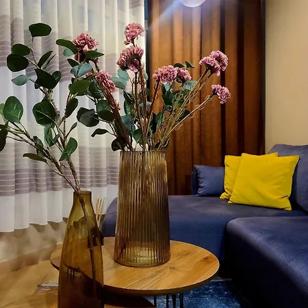 아파트 My Guest Base 티라나