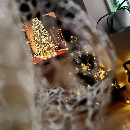 My Guest Base Tirana